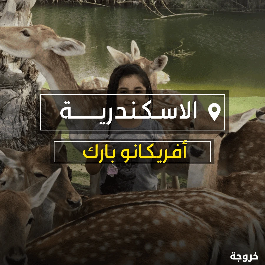 أفريكانو بارك في الإسكندرية: حدائق حيوان وأكواريوم