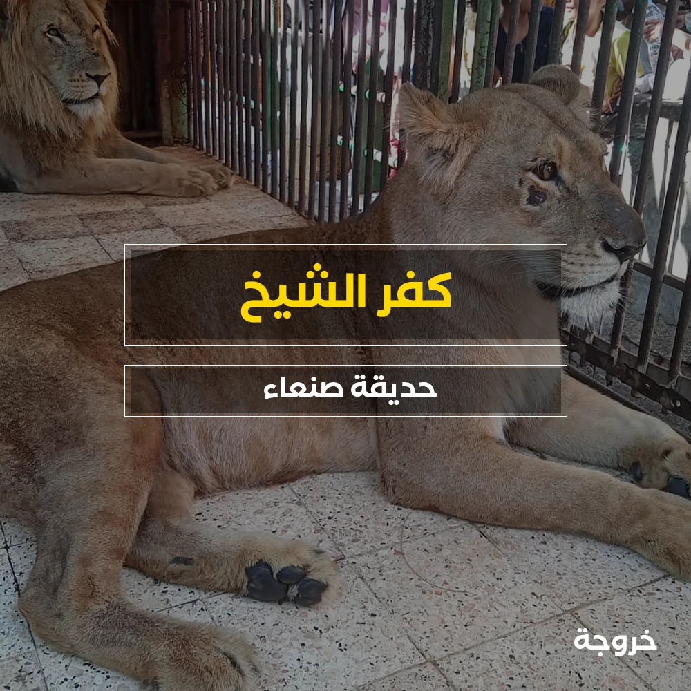Sana'a zoo حديقة حيوانات في كفر الشيخ: حدائق حيوان وأكواريوم