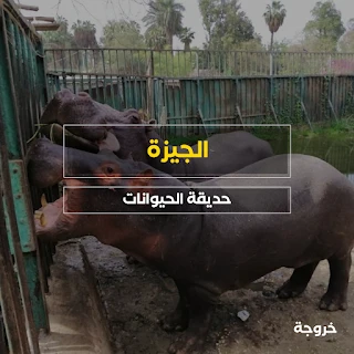 حديقة الحيوانات في مصر في الجيزة: حدائق حيوان وأكواريوم