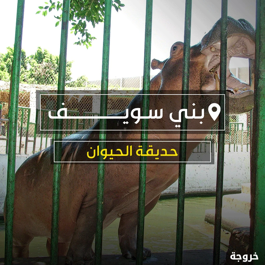 حديقة حيوان بني سويف: حدائق حيوان وأكواريوم