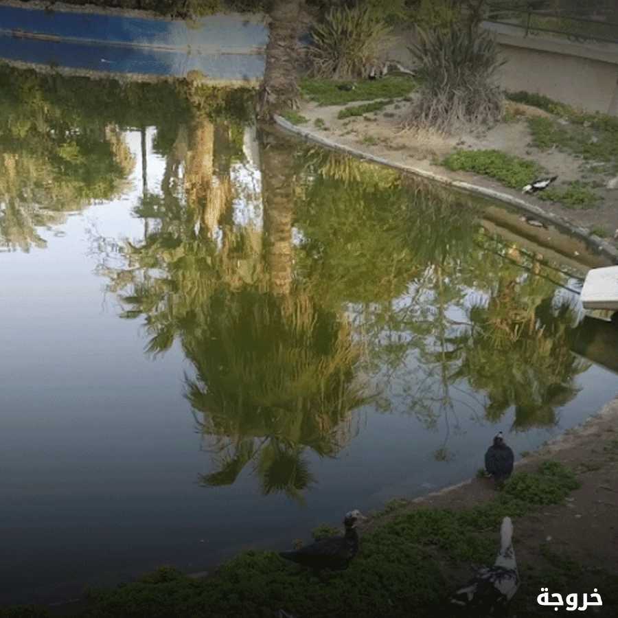 حدائق الشلالات في الإسكندرية: حدائق ومنتزهات